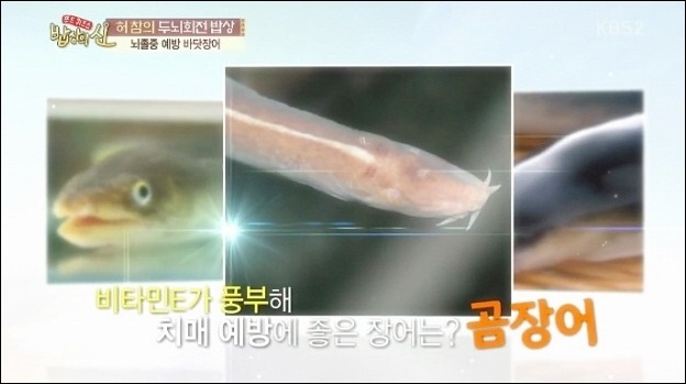 통영장어 이미지