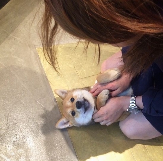 개스타그램 이미지