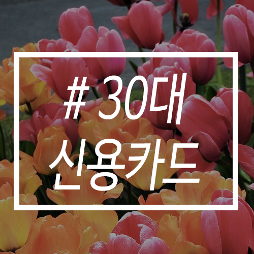 신용상사 이미지