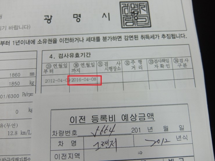 소유색 이미지