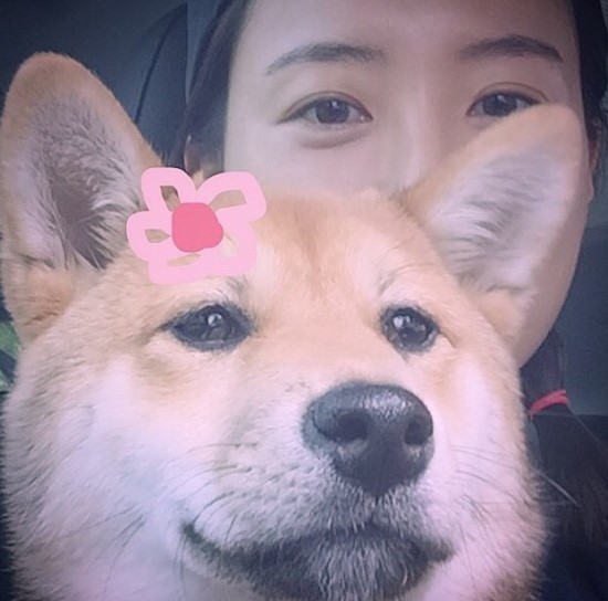 개스타그램 이미지