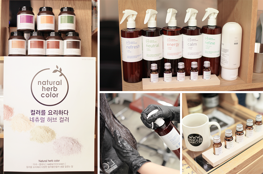 엘로이헤어 이미지