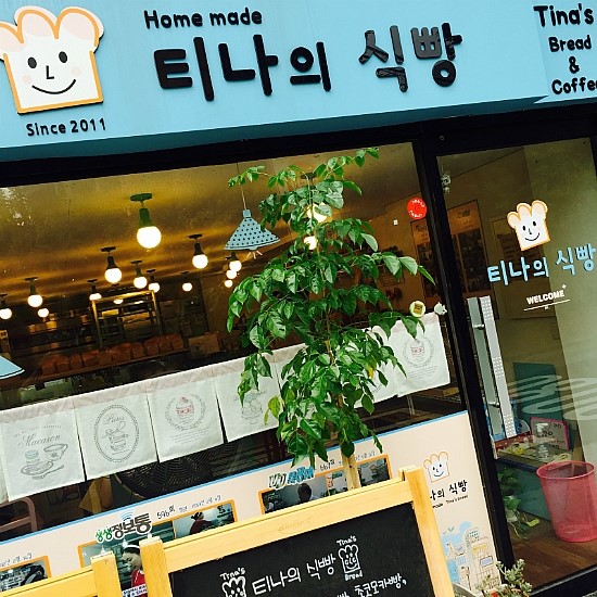 티나의 식빵 이미지