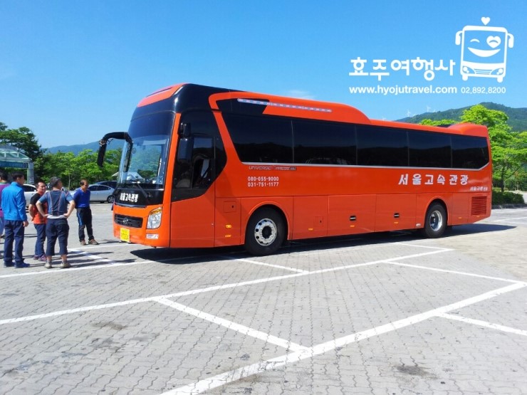 효주여행사 이미지