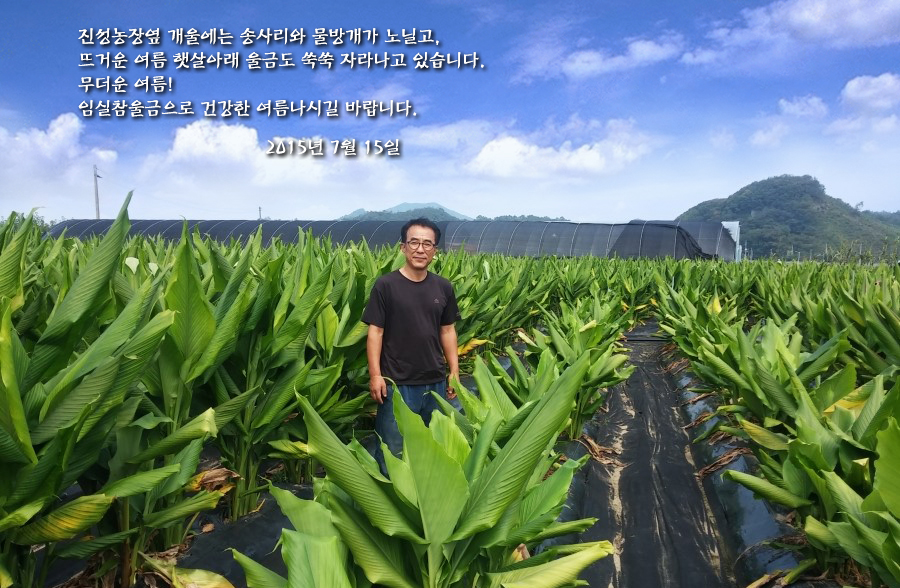 임실참울금 진성농장 이미지