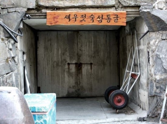 보령토굴젓갈 이미지