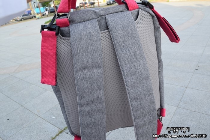 선데이트리 이미지