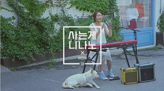 니나노 이미지