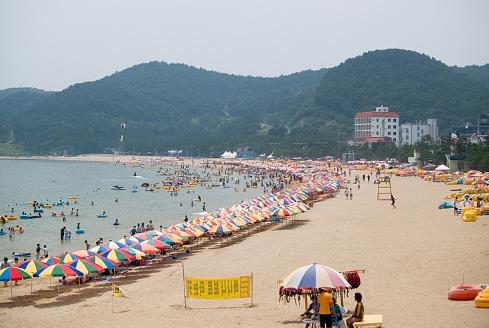 진하해수욕장1 이미지