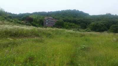 민들레모텔 이미지