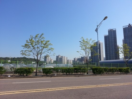 SK분식 이미지