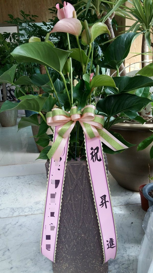 동은디씨 이미지