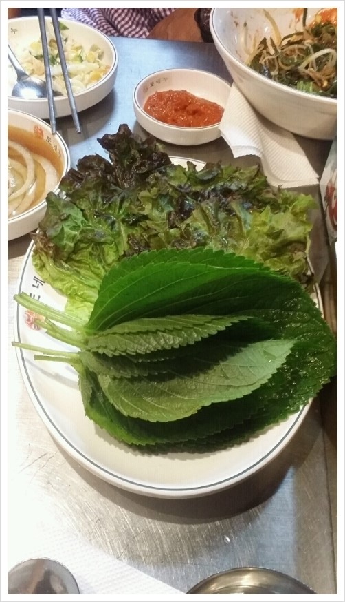 도네누 이미지