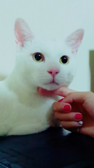 커뮤니케이션우디 이미지