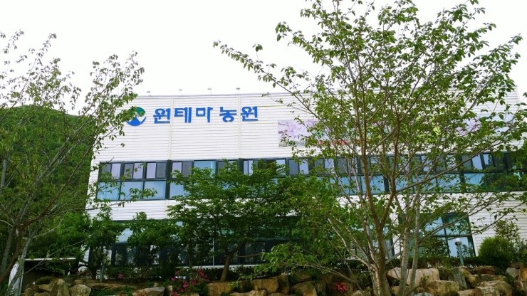 테마민박 이미지
