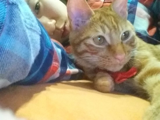 헤어브루노 이미지