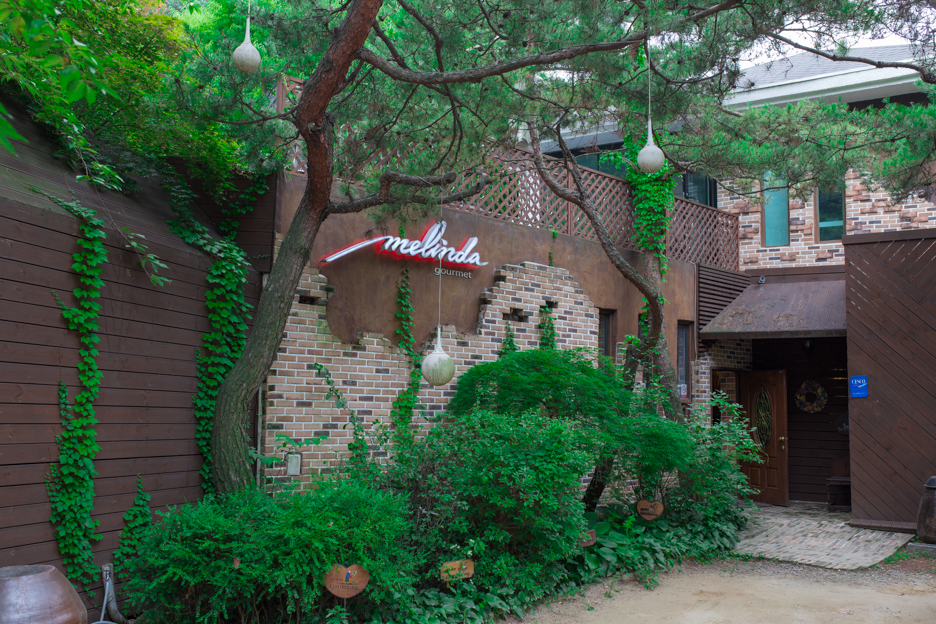 멜린다(Melinda Gourmet) 이미지