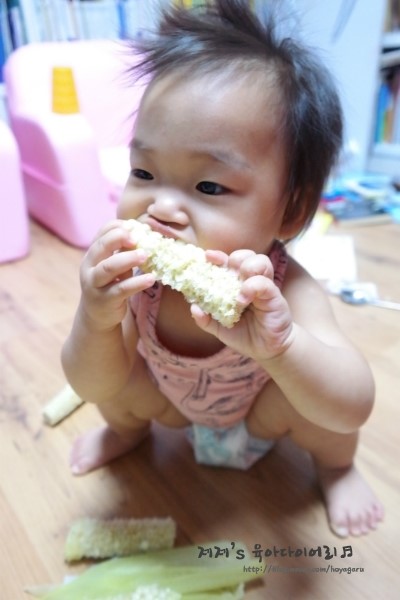 자매집옥수수 이미지