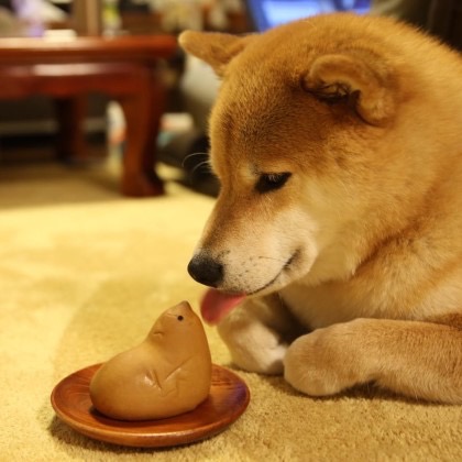 한량 이미지