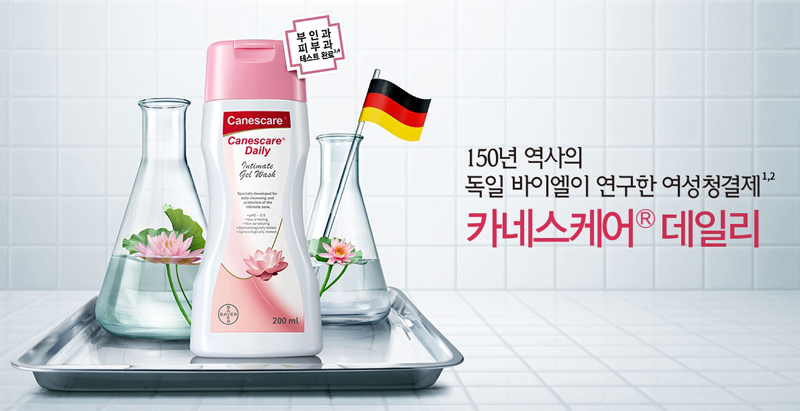카네스 이미지