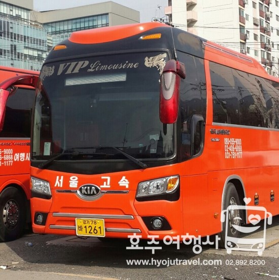 효주여행사 이미지