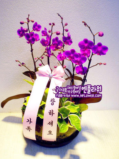 아산신그린 이미지