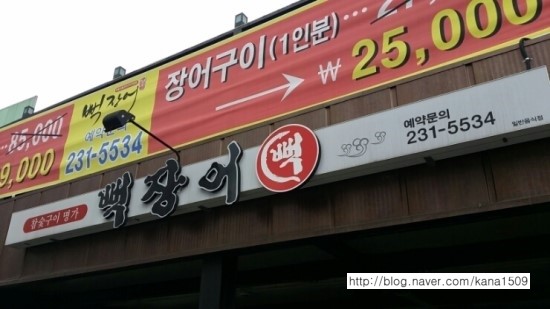 뻑장어 이미지