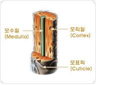 미용재료 이미지