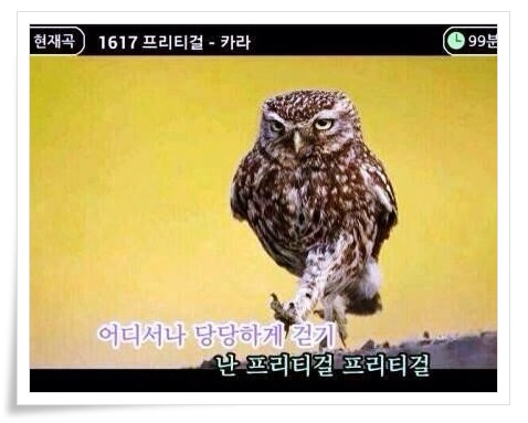 니나노 이미지
