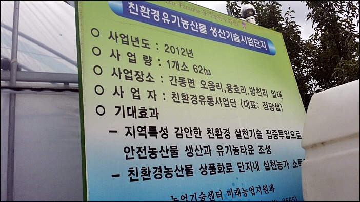 화천 아스파라거스 농장 이미지