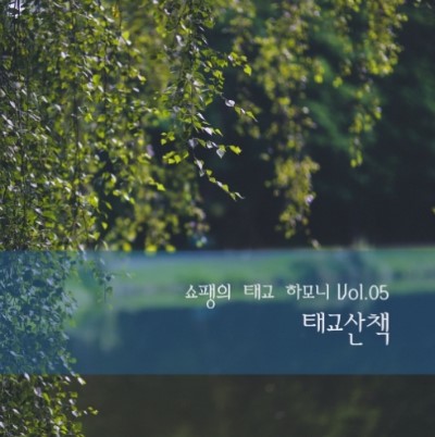 핑크에이드 (PINKAIDE) 이미지