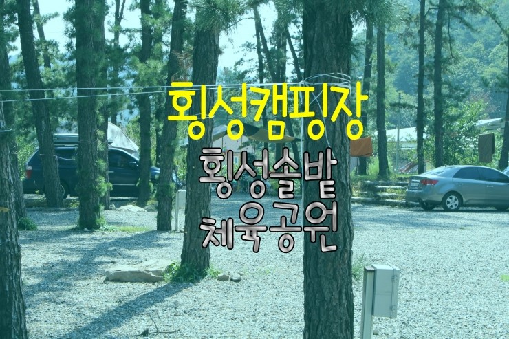 솔밭체육공원 오토캠핑장 이미지
