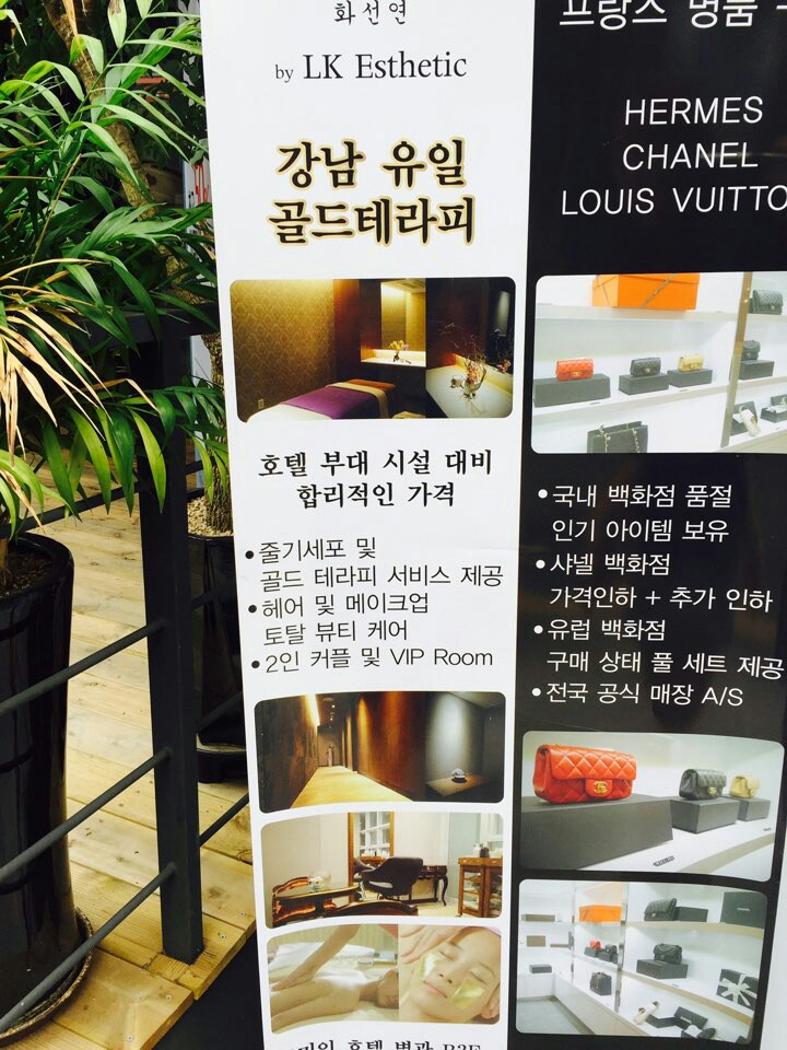 화선연 이미지