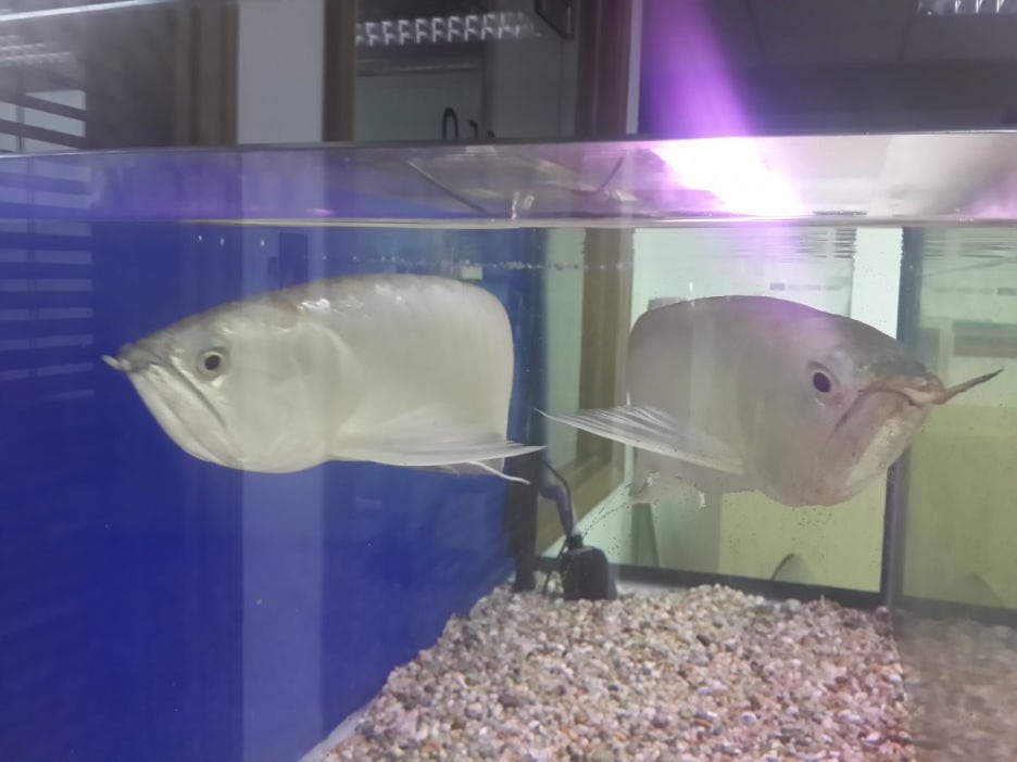 (주)베오베 이미지