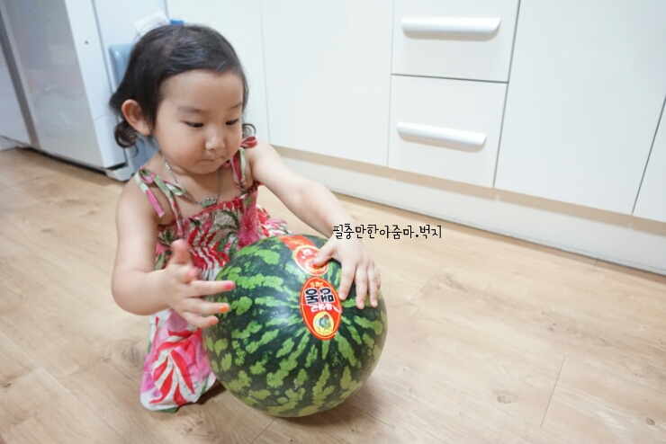 유림청과 이미지