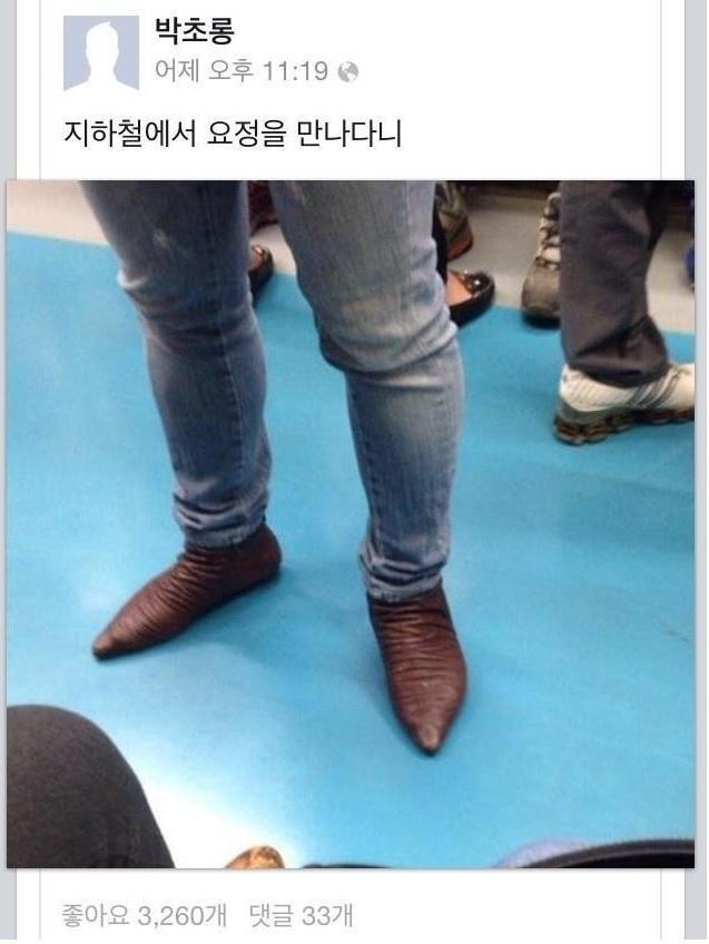 자유로운집 이미지