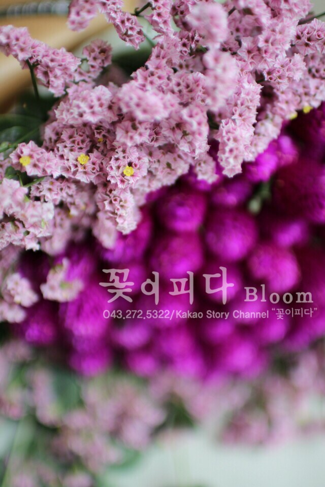 꽃피다Bloom 이미지