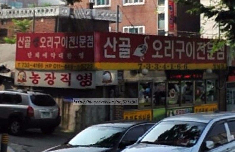 산골오리 이미지