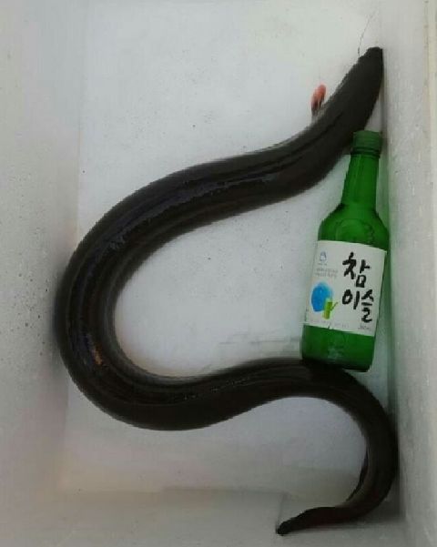 문화카센타 이미지
