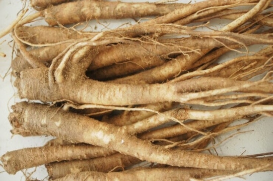 용두동조청 이미지