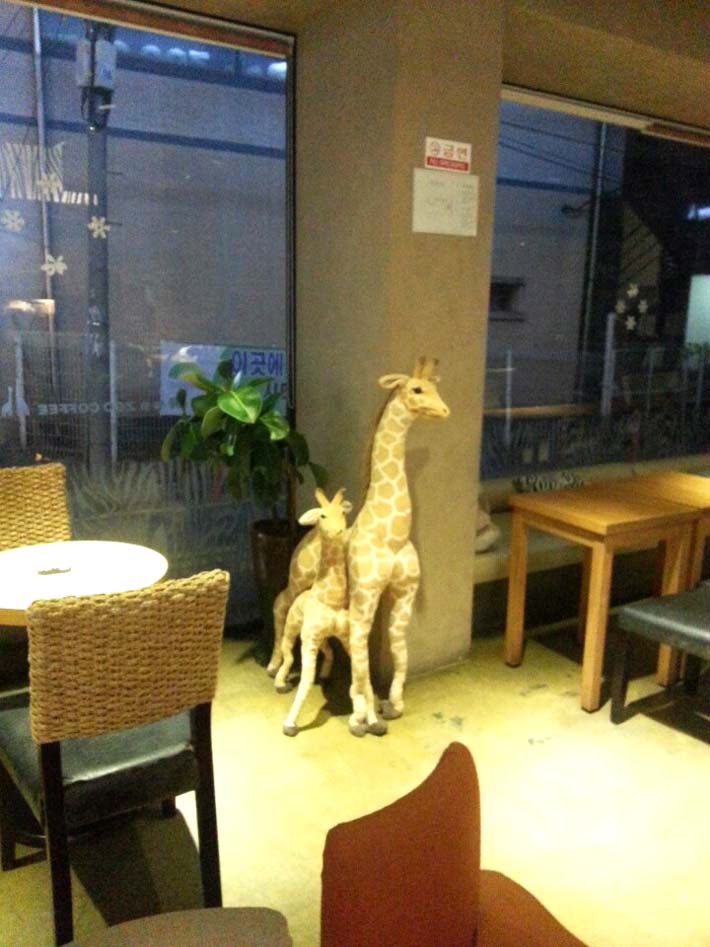 주coffee 이미지