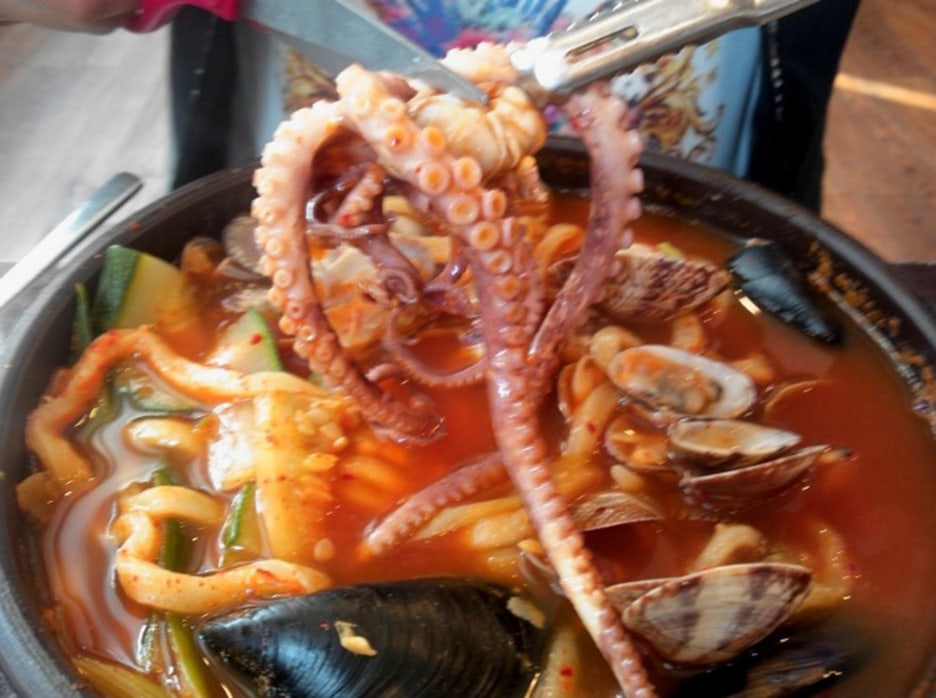 용낙지 이미지