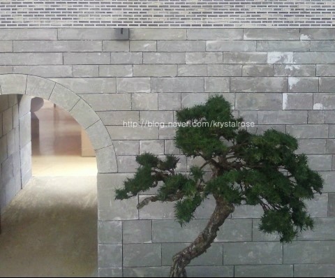 성신조경 이미지