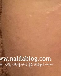 화선연 이미지