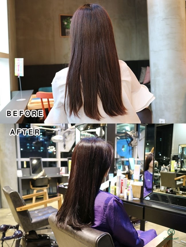 하다(HADA) 이미지