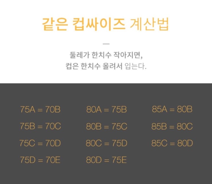 가슴사이즈 재는법 브라 사이즈표 (가슴 사이즈, 컵 크기, 가슴둘레) : 네이버 블로그