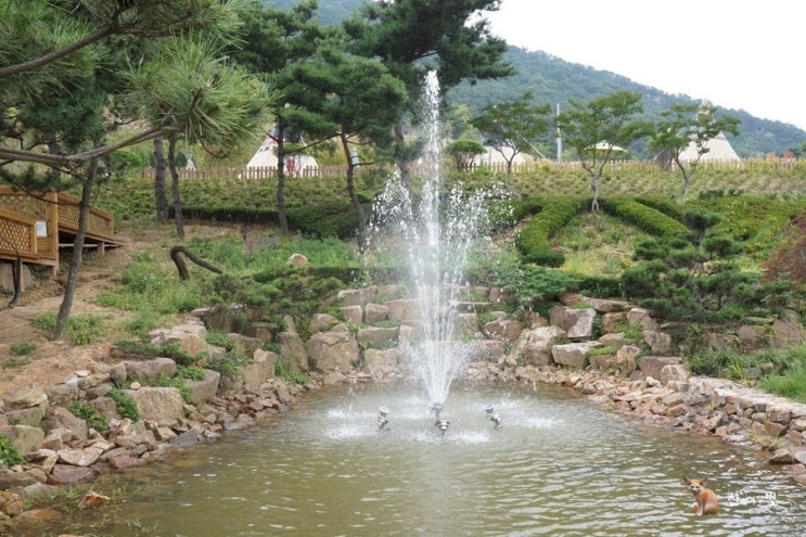 여우들의쉼터 이미지