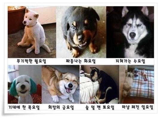 공감 이미지