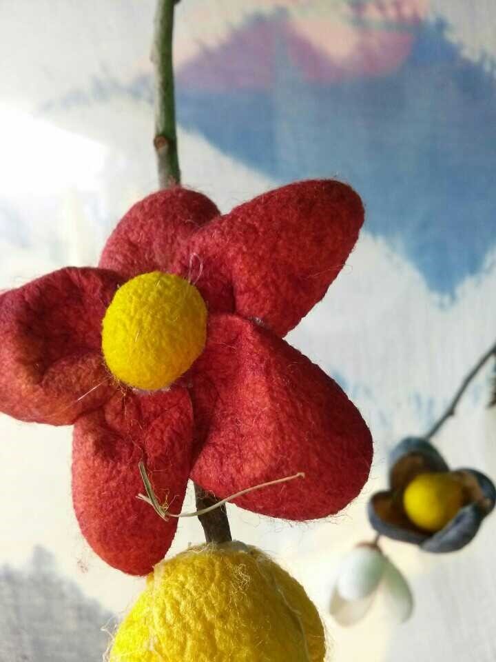 누애고치 이미지