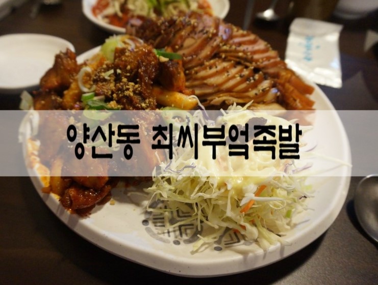 최씨부엌족발 이미지